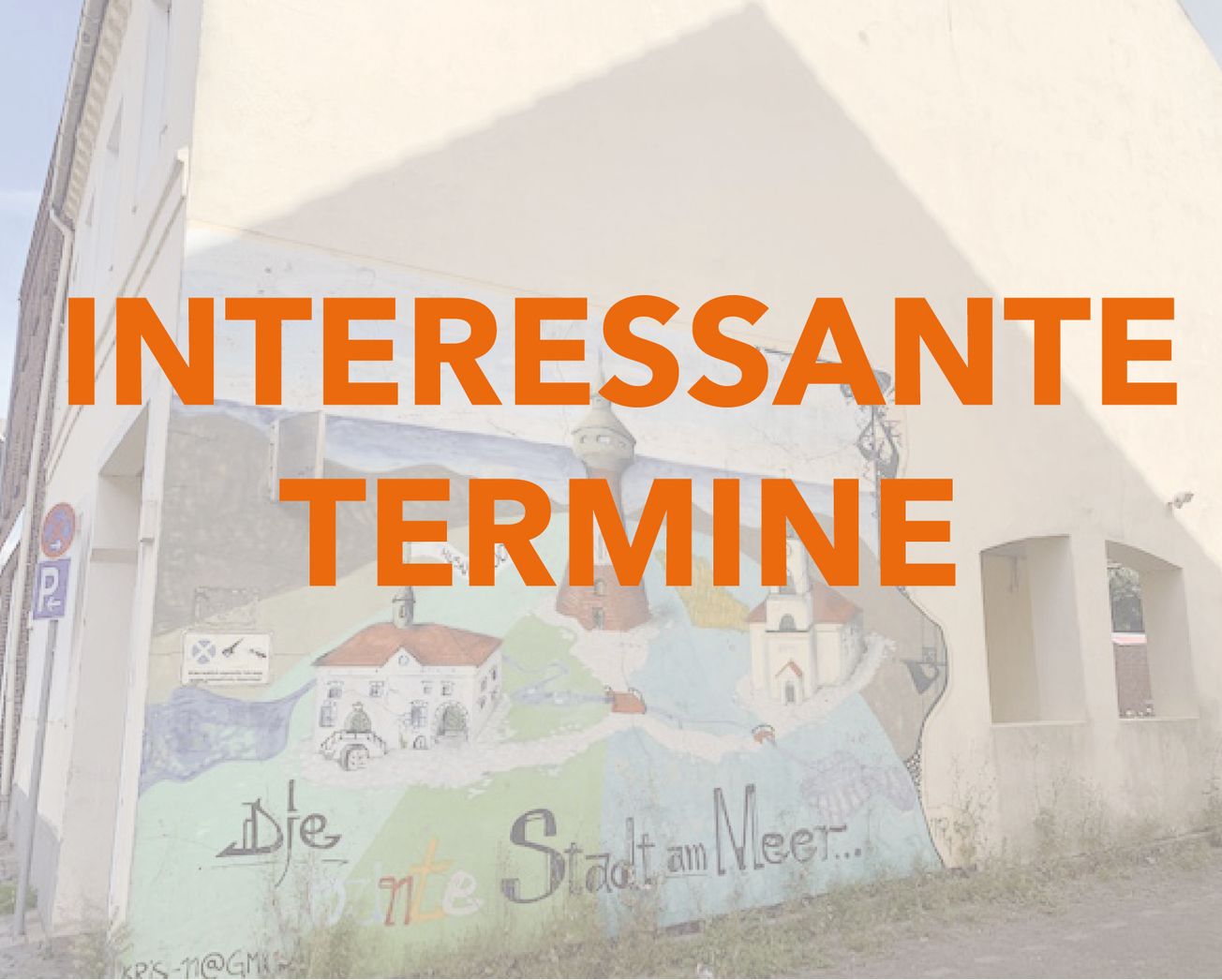 Vom Fotoshooting bis zur Lesung