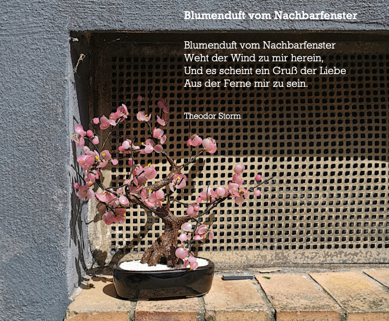 Hommage an Theodor Storm