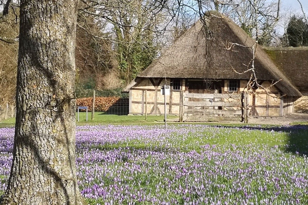 Obere Neustadt, ganz frühlingsbunt